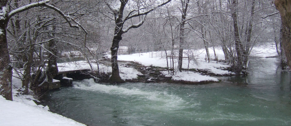 Winter charm...